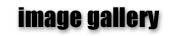 Image Gallery